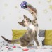 كونج - لعبة كرة الفضاء النشطة للقطط